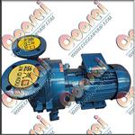 2BV-5110 Vacum Pump