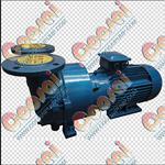 2BV-5121 Vacum Pump